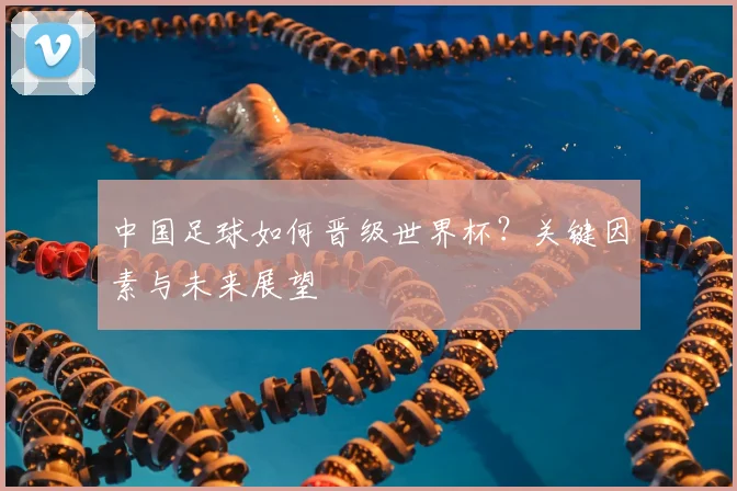 中国足球如何晋级世界杯?关键因素与未来展望