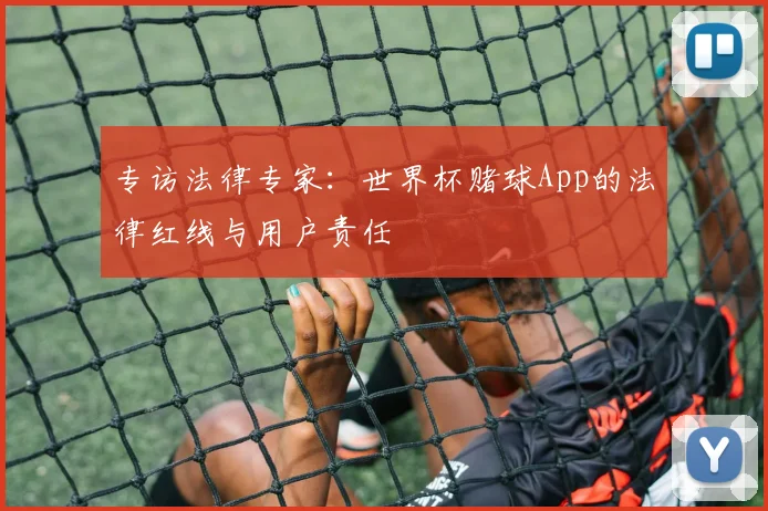 专访法律专家:世界杯赌球App的法律红线与用户责任