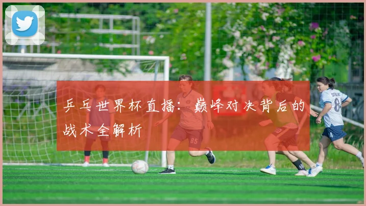 乒乓世界杯直播:巅峰对决背后的战术全解析