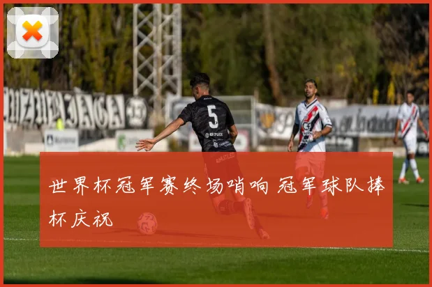 世界杯冠军赛终场哨响 冠军球队捧杯庆祝