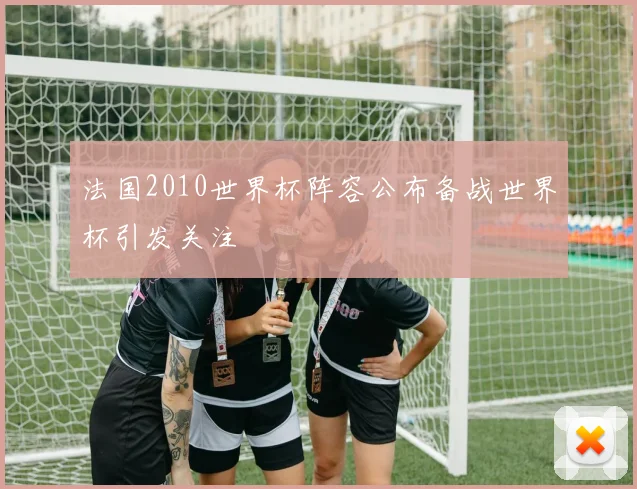 法国2010世界杯阵容公布备战世界杯引发关注