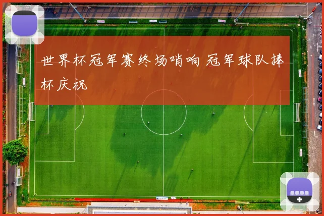 世界杯冠军赛终场哨响 冠军球队捧杯庆祝